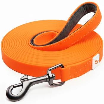 Schleppleine mit Handschlaufe orange 5 m Helle orange Hundeleine mit einem schwarzen Metallclip, mit einem gepolsterten Griff für Komfort und einem kleinen Logo-Patch.