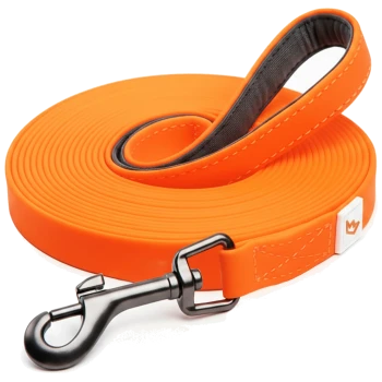 Helle orange Hundeleine mit einem schwarzen Metallclip, mit einem gepolsterten Griff für Komfort und einem kleinen Logo-Patch.