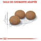 Trois croquettes pour animaux de compagnie rondes et brunes sont affichées sur un contour esquissé avec une échelle de mesure, étiquetées "TAILLE DE CROQUETTE ADAPTÉE."
