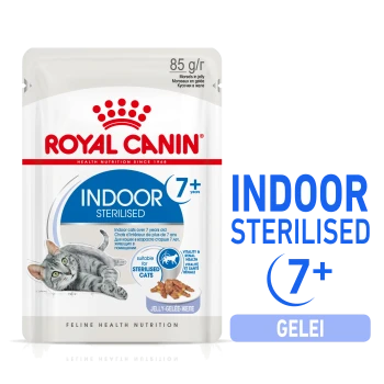 Royal Canin Indoor Sterilised kattenvoerzak voor katten ouder dan 7 jaar, met een grijze kattenillustratie en tekst die de voedingsvoordelen benadrukt.
