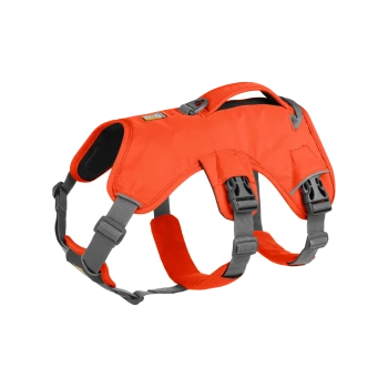 Helle orangefarbene Hundegeschirr mit verstellbaren Riemen und einem stabilen Griff, entworfen für Komfort und Kontrolle beim Spazierengehen.