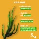 Kelp-Algen mit Text, der die Vorteile hervorhebt: fördert die Darmflora, gut für die Gelenke, stimuliert das Immunsystem, reich an Mineralien und Spurenelementen.