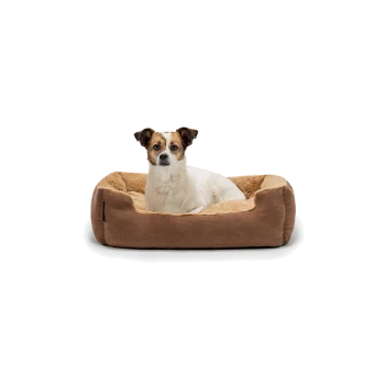 Ein gemütliches braunes Hundebett mit einem weichen, plüschigen Innenraum, in dem ein weißer Hund bequem ruht.