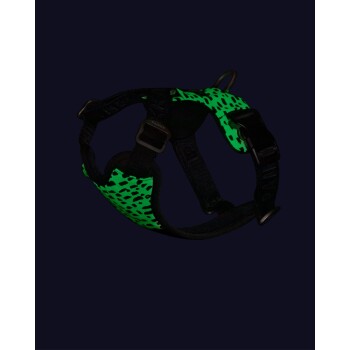 Ein schwarzes Haustiergeschirr mit einem lebhaften grün gepunkteten Muster, entworfen für Komfort und Stil, vor einem dunklen Hintergrund präsentiert.