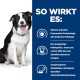 Ein glücklicher Border Collie sitzt neben einem Text, der die Vorteile der Zahngesundheit eines Haustierfutters und das einzigartige Pelletdesign hervorhebt.