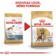 Boxer Adulte Croquettes Chien 12 kg