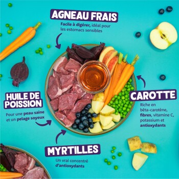 Bol d'alimentation pour animaux avec agneau cru, carottes, pois, tranches de pomme, myrtilles et huile de poisson ; étiquette française « AGNEAU FRAIS » visible.