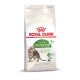 Nourriture pour chats Royal Canin Active Life Outdoor pour les chats de plus de 7 ans, présentant un chat tigré sur l'emballage et une étiquette de complexe de vitalité.