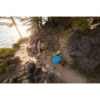 Eine Person mit einem Rucksack führt einen Hund auf einem felsigen Weg am See entlang, umgeben von Bäumen und Sonnenlicht. Der Hund trägt ein blaues Geschirr.