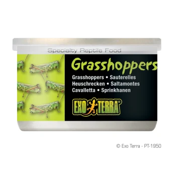 Behälter mit Exo Terra Heuschrecken-Spezialfutter für Reptilien, mit Bildern von Heuschrecken und Text in mehreren Sprachen.