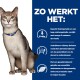 Een kat met een blauwe halsband zit tegen een blauwe achtergrond met tekst over de voordelen van huisdiervoeding zoals omega-3 en ondersteuning van de niergezondheid.