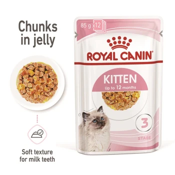 Royal Canin Kitten food pouch, 85g x 12, featuring chunks in jelly, suitable for kittens up to 12 months, with a soft texture for milk teeth.