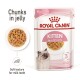 Royal Canin Kitten food pouch, 85g x 12, featuring chunks in jelly, suitable for kittens up to 12 months, with a soft texture for milk teeth.