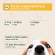 Banner: Fütterungsempfehlung; Einfach ins Futter mischen; Nahaufnahme eines HundeGesichts.