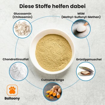 Schale mit gelb-grünem Pulver mit beschrifteten Kreisen für Glucosamin, MSM, Chondroitinsulfat, Grünlippmuschel und Curcuma longa.