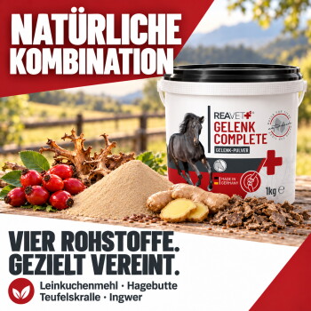 ReaVET Gelenk Complete Ergänzung für Pferde, mit einem galoppierenden schwarzen Pferd, mit Text, der Zutaten und Fütterungsempfehlungen beschreibt.