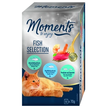Katze, die neben einer Box mit "Momente zum Genießen" Fischauswahl liegt, mit Atlantischem und Pazifischem Thunfisch sowie Thunfisch mit Garnelen.