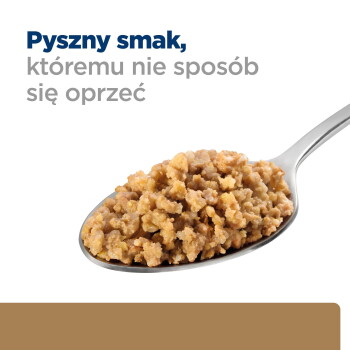 Łyżka zmielonej mokrej karmy na białym tle, z polskim nagłówkiem przetłumaczonym: 'Delicious taste you can't resist'.