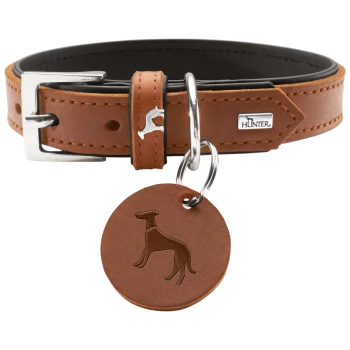 Braunes Lederhalsband für Hunde mit einer silbernen Schnalle und einem runden Anhänger mit einer geprägten Hundesilhouette, markiert mit 'HUNTER.'