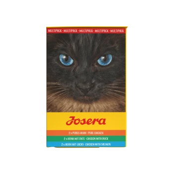 Nahaufnahme einer schwarzen Katze mit blauen Augen neben einem Josera Katzenfutter-Multipack mit Hühnchen-, Enten- und Lachs-Geschmack.