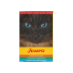 Nahaufnahme einer schwarzen Katze mit blauen Augen neben einem Josera Katzenfutter-Multipack mit Hühnchen-, Enten- und Lachs-Geschmack.