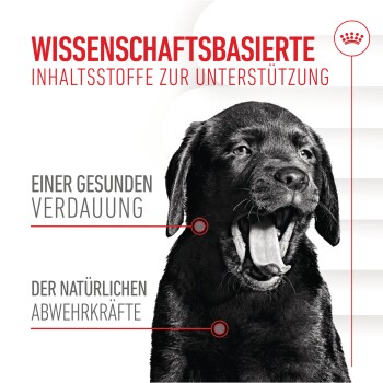 Schwarzer Labrador gähnt mit dem Text: "Wissenschaftlich fundierte Zutaten für gesunde Verdauung und natürliche Abwehrkräfte."