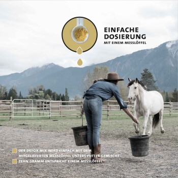 Eine Frau in einem Hut und Denim-Outfit füttert ein weißes Pferd aus einem Eimer auf einer Wiese, mit Text über die einfache Dosierung eines Detox-Mixes.