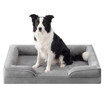 Schwarz-weißer Border Collie sitzt auf einem grauen, plüschigen Hundebett mit Randpolstern.