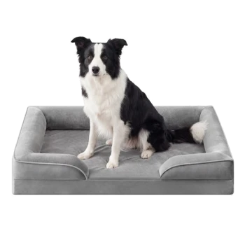 Schwarz-weißer Border Collie sitzt auf einem grauen, plüschigen Hundebett mit Randpolstern.