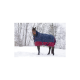 Ein Pferd, das eine blaue und rote Winterdecke trägt, steht in einer verschneiten Landschaft, während Schneeflocken um es herum fallen und kahle Bäume im Hintergrund zu sehen sind.