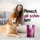 Ein glücklicher Golden Retriever sitzt neben einer Frau auf einer Couch mit einem sichtbaren "Skin & Coat" Hundefutterzusatz. Text: "Mensch, gib schon her!"