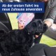 Une femme tient un paquet de produit tandis qu'un petit chiot noir la regarde à l'intérieur d'une voiture. Le texte indique : "Ab der ersten Fahrt ins neue Zuhause anwenden."