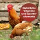 Ein lebendiger Hahn und eine Henne, die auf Gras nach Futter suchen, mit einer kreisförmigen Überlagerung, die 'Natürliche Vitamine und Spurenelemente' in weißem Text angibt.