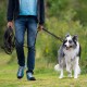 Eine Person in einem grauen Hoodie und einem blauen Shirt, die einen glücklichen, flauschigen Border Collie an einer leuchtend orangefarbenen Leine in einem grünen Park führt.