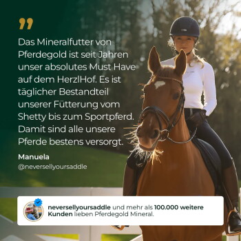 Fuchs und Reiter mit deutschem Text: „Das Mineralfutter von Pferdegold... bestens versorgt.“ und „100.000“.