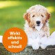 Anti Floh Shampoo für Hunde 250ml