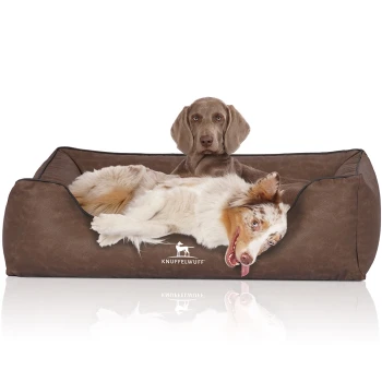 Hundebett Scottsdale aus Kunstleder braun XL Ein gemütliches braunes Hundebett mit einem weißen und braunen Hund, der bequem liegt, mit dem Markennamen "KNUFFELWUFF" deutlich sichtbar.