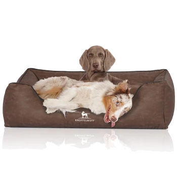 Ein gemütliches braunes Hundebett mit einem weißen und braunen Hund, der bequem liegt, mit dem Markennamen "KNUFFELWUFF" deutlich sichtbar.