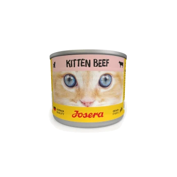 Eine Dose Josera Kitten Beef Katzenfutter mit einem Nahaufnahmebild eines Kätzchen mit blauen Augen, beschriftet mit 'KITTEN BEEF' und gekennzeichnet mit 'Getreidefrei.'