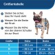 Größentabelle für Hunde mit Anweisungen zum Messen der Brustbreite und Schulterhöhe, neben einer lächelnden französischen Bulldogge.