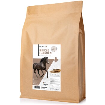 Indische Flohsamen 3kg