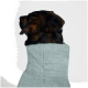 Ein brauner Hund, der einen weichen, hellblauen handtuchartigen Mantel trägt, steht an einem sandigen Strand, mit Gras und einem Pfosten im Hintergrund.