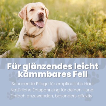 Gelber Labrador liegt im Gras über einem blauen Banner mit der Aufschrift "Für glänzendes, leicht kämmbares Fell" und deutschem Pflegehinweis.