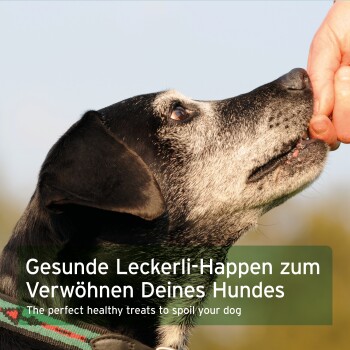 Ein schwarz-weißer Hund, der eifrig nach einem Leckerli aus der Hand einer Person greift, mit Textüberlagerung zur Förderung gesunder Hundeleckerlis.