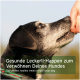 Ein schwarz-weißer Hund, der eifrig nach einem Leckerli aus der Hand einer Person greift, mit Textüberlagerung zur Förderung gesunder Hundeleckerlis.