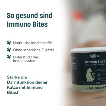 KatKare Immuno Bites Katzensnacks mit Vitamin C, Omega-3 und Lachsproteinen zur Muskelunterstützung und Gesundheit.