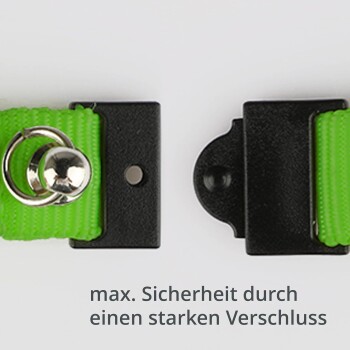 Nahaufnahme einer grünen Hundehalsband-Schnalle mit einem Metallring, mit dem Text "max. Sicherheit durch einen starken Verschluss."