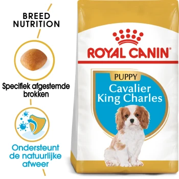 Royal Canin Puppyvoeding voor Cavalier King Charles, met een afbeelding van een puppy, met tekst die de voedingsbehoeften van het ras en de ondersteuning van het immuunsysteem benadrukt.