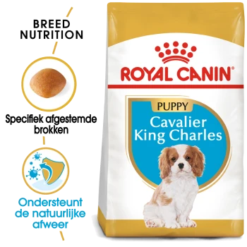 Royal Canin Puppyvoeding voor Cavalier King Charles, met een afbeelding van een puppy, met tekst die de voedingsbehoeften van het ras en de ondersteuning van het immuunsysteem benadrukt.