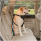 Ein gelber Labrador in einem schwarzen Geschirr sitzt auf dem Rücksitz eines Autos, mit dem Text darüber: 'Hält Ihren Hund auf dem Rücksitz.'